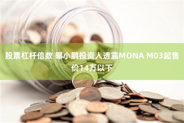 股票杠杆倍数 曝小鹏投资人透露MONA M03起售价14万以下