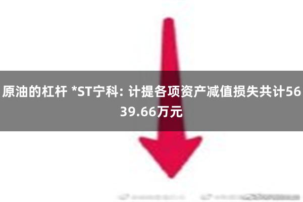 原油的杠杆 *ST宁科: 计提各项资产减值损失共计5639.66万元