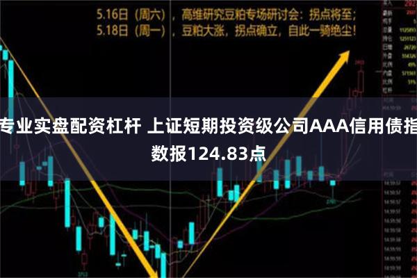 专业实盘配资杠杆 上证短期投资级公司AAA信用债指数报124.83点