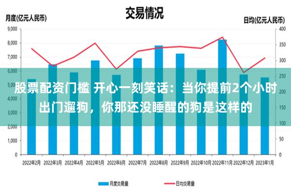 股票配资门槛 开心一刻笑话：当你提前2个小时出门遛狗，你那还没睡醒的狗是这样的