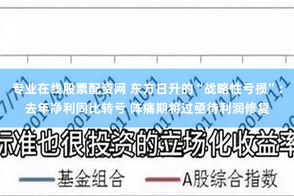 专业在线股票配资网 东方日升的“战略性亏损”：去年净利同比转亏 阵痛期将过亟待利润修复