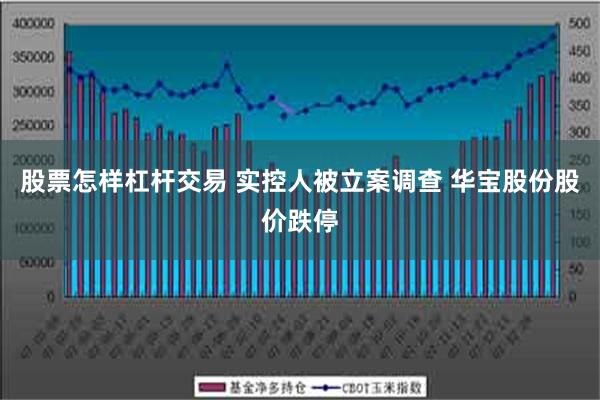 股票怎样杠杆交易 实控人被立案调查 华宝股份股价跌停