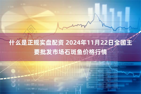 什么是正规实盘配资 2024年11月22日全国主要批发市场石斑鱼价格行情