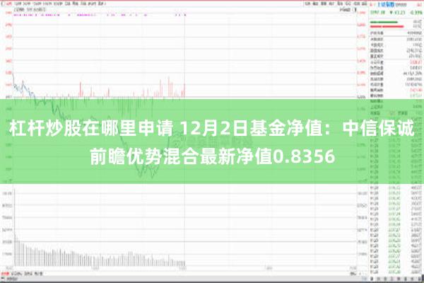 杠杆炒股在哪里申请 12月2日基金净值：中信保诚前瞻优势混合最新净值0.8356