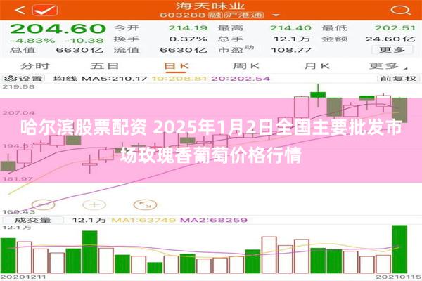 哈尔滨股票配资 2025年1月2日全国主要批发市场玫瑰香葡萄价格行情