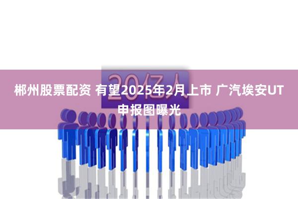 郴州股票配资 有望2025年2月上市 广汽埃安UT申报图曝光